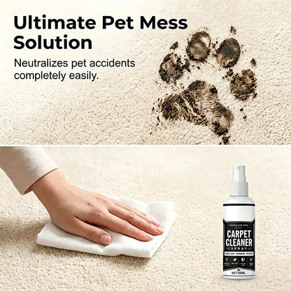 Buy 1 Get 1 Free✨Deep Cleaning Carpet Cleaner Spray (With Sponge）