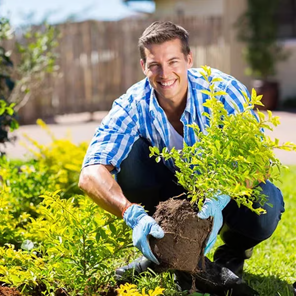 🔥 Gardener‘s Choice 2026 | Soil conditioner – Improves structure, drainage and fertility【75K+ SOLD】