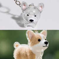 Corgi