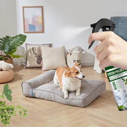 ✨Buy One Get One Free✨Power Insect Spray