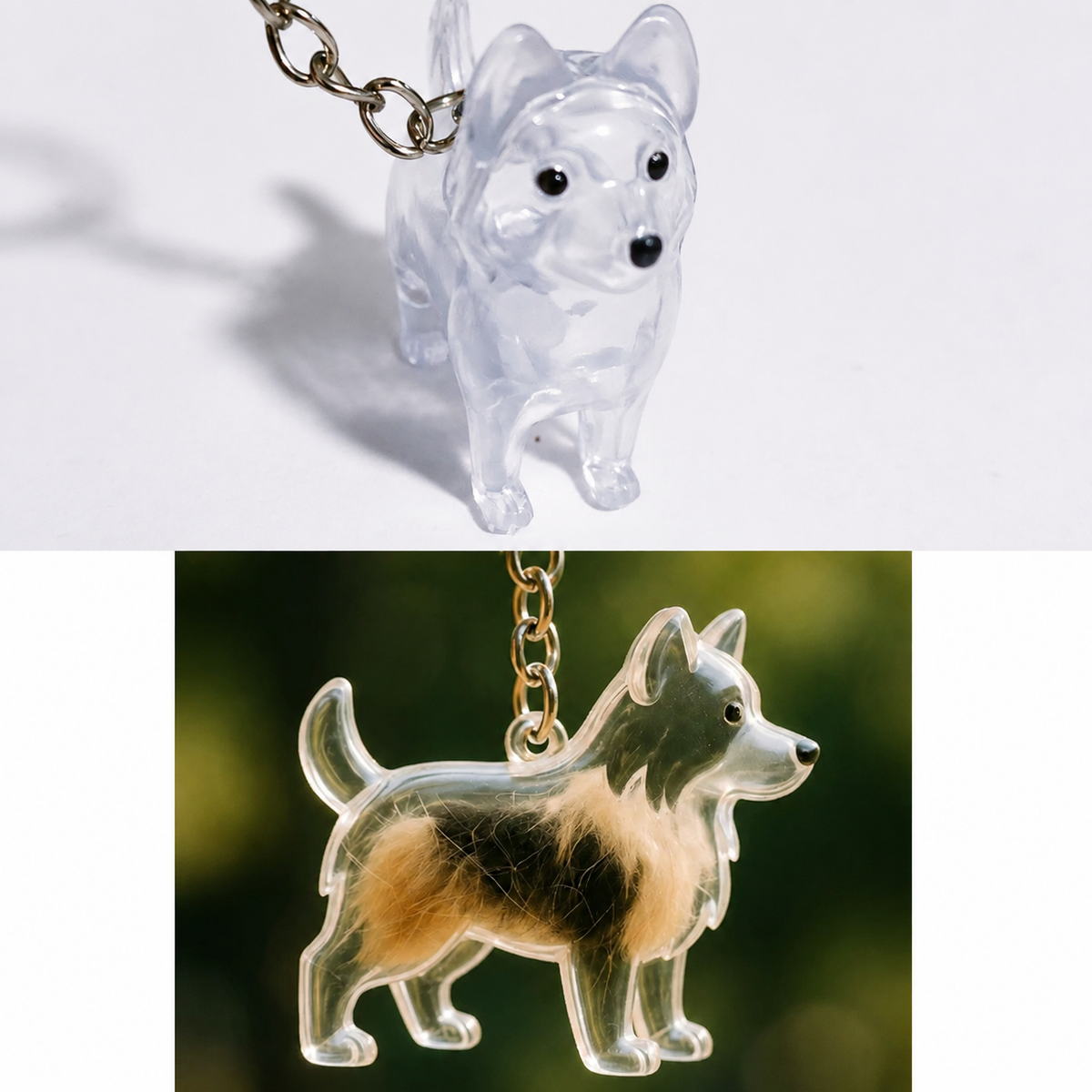 🏆Monthly sales over 100,000, limited-time 50% off! Buy one get two free 🐶 My Pet Keychain