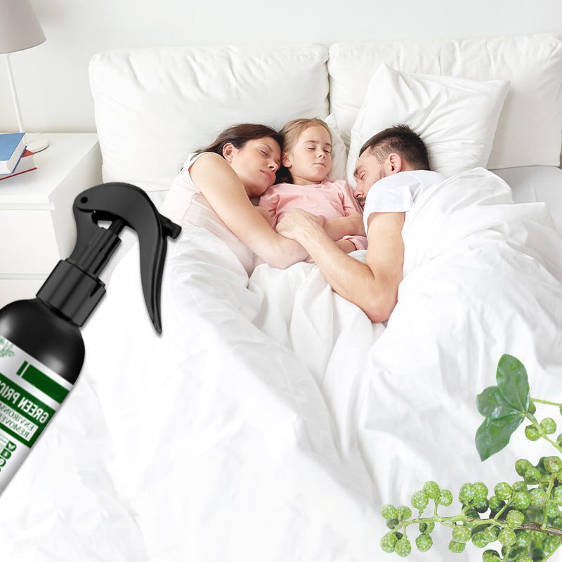 ✨Buy One Get One Free✨Power Insect Spray