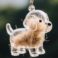 Chinese Indigenous Dog