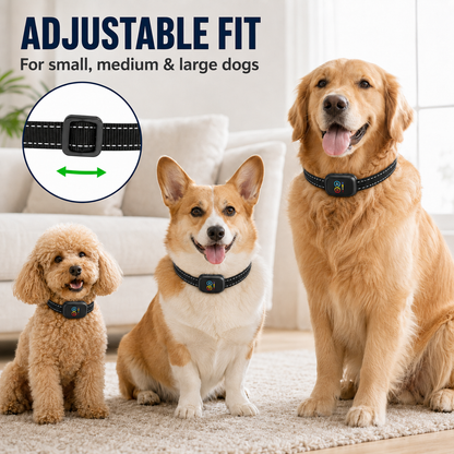 🔥 LIMITED-TIME 50% OFF! 🐶Smart Anti-Bark Collar for Dogs