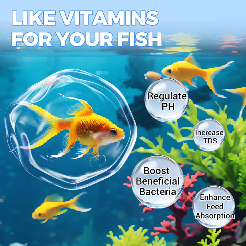 🐠Clear Cloudy Aquarium Water With Powerful Purification Tablets