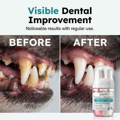 🎄Christmas Special Buy One Get One Free🎄🐾Pet Dental Water Additive Without Brushing – Easy Pet Dental Care🦷