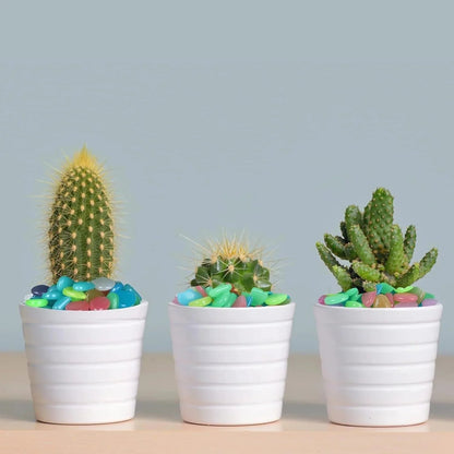 💥50%OFF💥🌈Colorful Glow-in-the-Dark Garden Stones