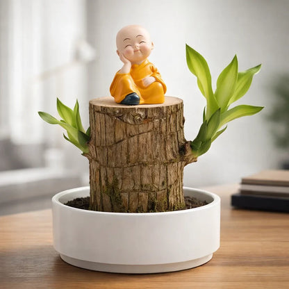 Hot sale🔥Purifies Air • Better Sleep • Good Luck-Brazilian Lucky Wood