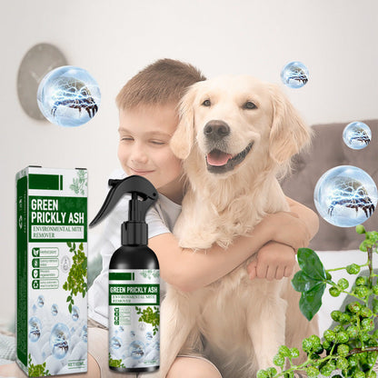 ✨Buy One Get One Free✨Power Insect Spray