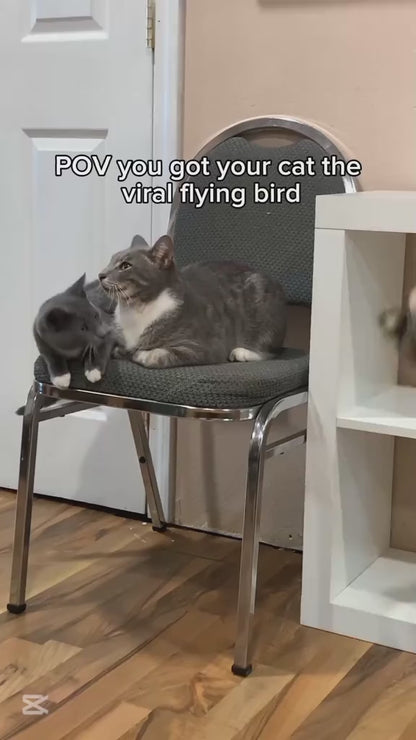 🔥HOT SALE 🔥50% OFF ！Vocal Simulation Squeaky Bird Cat Toy For Self-amusement