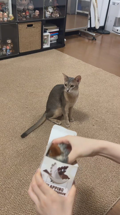 🔥HOT SALE 🔥50% OFF ！Vocal Simulation Squeaky Bird Cat Toy For Self-amusement