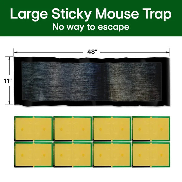 🔥Buy three get two free🪤 Super strong sticky mouse trap