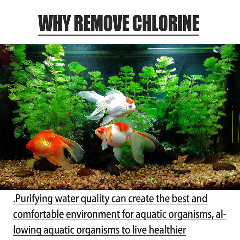 🎁2026 New Arrivals 50% OFF💥Fish Ponds Aquariums Chlorine Removal Tablets