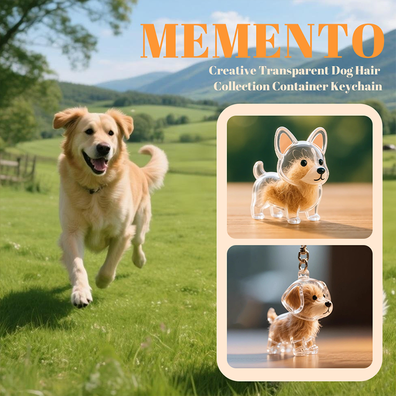 🏆Monthly sales over 100,000, limited-time 50% off! Buy one get two free 🐶 My Pet Keychain