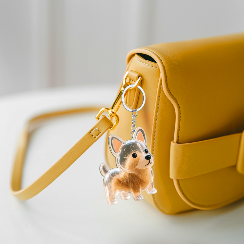 🏆Monthly sales over 100,000, limited-time 50% off! Buy one get two free 🐶 My Pet Keychain