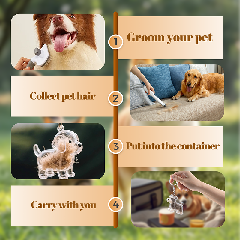🏆Monthly sales over 100,000, limited-time 50% off! Buy one get two free 🐶 My Pet Keychain