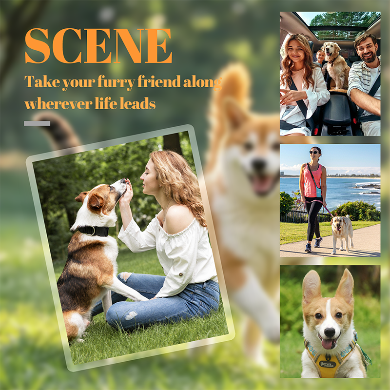 🏆Monthly sales over 100,000, limited-time 50% off! Buy one get two free 🐶 My Pet Keychain