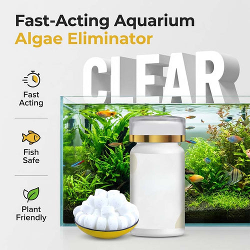 🥳2026 HOT SALE🥳💞50K+ SOLD!🐠💧 50% OFF! Algae Control Tablets – Stops blooms at cellular level. Easy drop‑in. Keep your tank crystal clear. 🐟✅