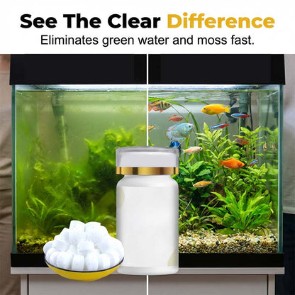 🥳2026 HOT SALE🥳💞50K+ SOLD!🐠💧 50% OFF! Algae Control Tablets – Stops blooms at cellular level. Easy drop‑in. Keep your tank crystal clear. 🐟✅
