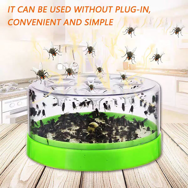 🔥 Enjoy 50% off today - Fly traps