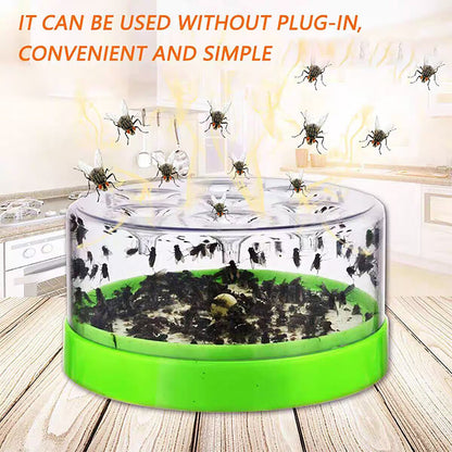 🔥 Enjoy 50% off today - Fly traps