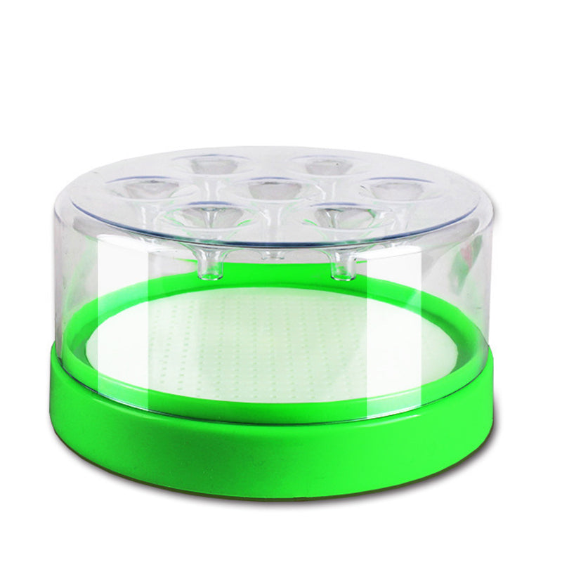 🔥 Enjoy 50% off today - Fly traps