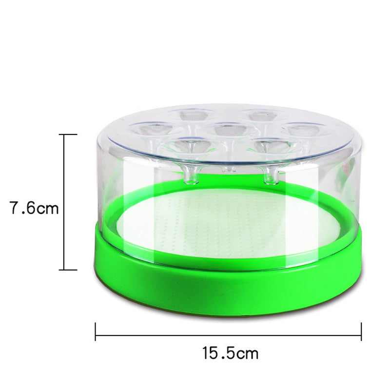 🔥 Enjoy 50% off today - Fly traps