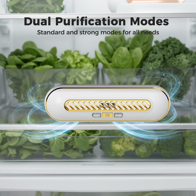 🧊 Half-price offer for the first 50 customers 🔥 Portable rechargeable fridge sterilizer