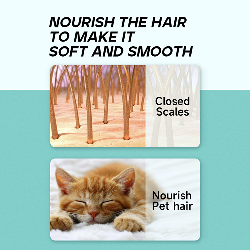 🔥Limited-time 50% off!🔥 Pet Hair Smoothing Spray – Instantly detangles fur, deeply moisturizes – Anti-static, suitable for cats and dogs! 🐕✨