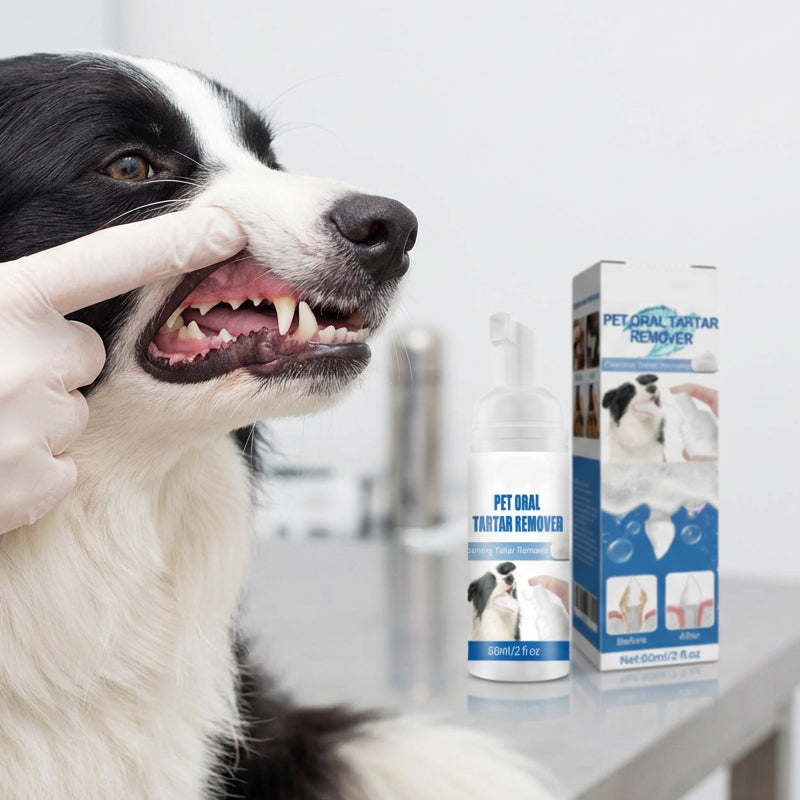 🔥 Pet Oral Care Foaming Tartar Remover