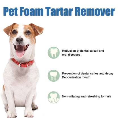 🔥 Pet Oral Care Foaming Tartar Remover