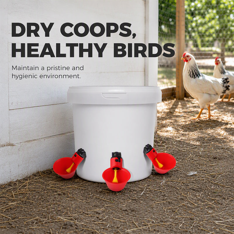 🥳HOT SALE! Gravity-Fed Automatic Chicken Waterer Cups🐔✨