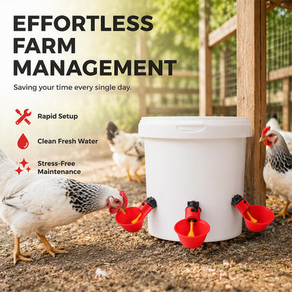 🥳HOT SALE! Gravity-Fed Automatic Chicken Waterer Cups🐔✨