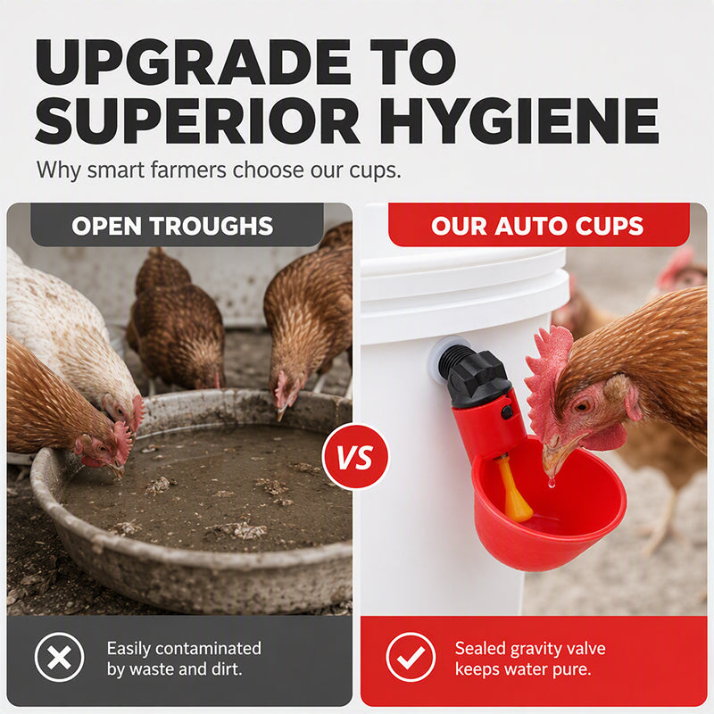 🥳HOT SALE! Gravity-Fed Automatic Chicken Waterer Cups🐔✨
