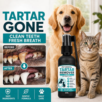 🐾Enjoy 50% off now! Buy two get one free gentle pet dental cleaning spray
