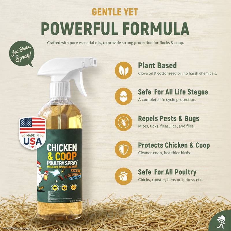 ❄️Summer Special: 50% Off!🐔Poultry & Chicken Coop Mite and Lice Spray – Ready to Use