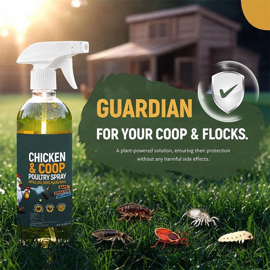 🔥50% Off!🐔Poultry & Chicken Coop Mite and Lice Spray – Ready to Use