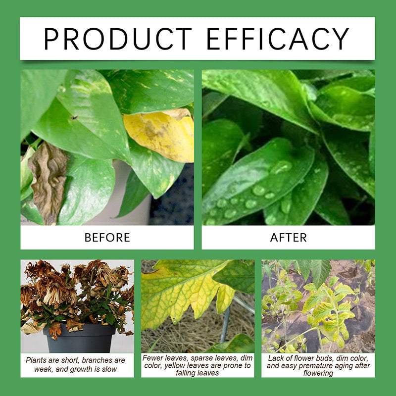 🎉Christmas Special Offer Buy 2 Get 1 Free🎉Universal Plant Nutrient Liquid for Rooting