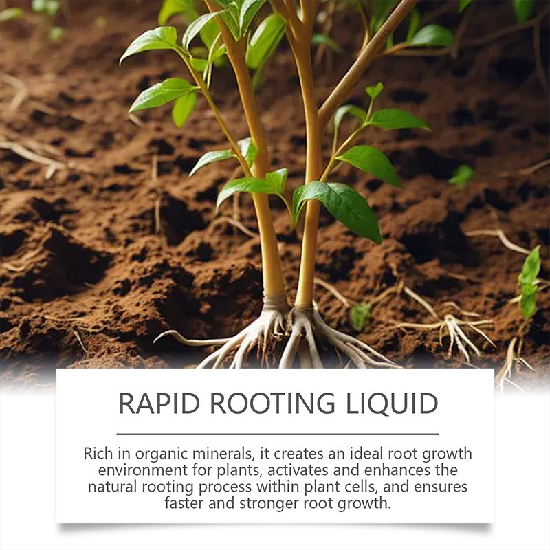 🎉Christmas Special Offer Buy 2 Get 1 Free🎉Universal Plant Nutrient Liquid for Rooting