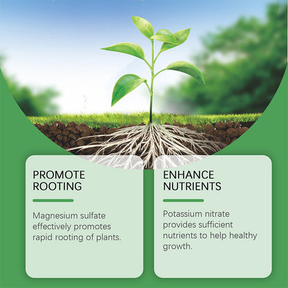🎉Christmas Special Offer Buy 2 Get 1 Free🎉Universal Plant Nutrient Liquid for Rooting
